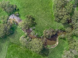 Aerial view of Berthon Park