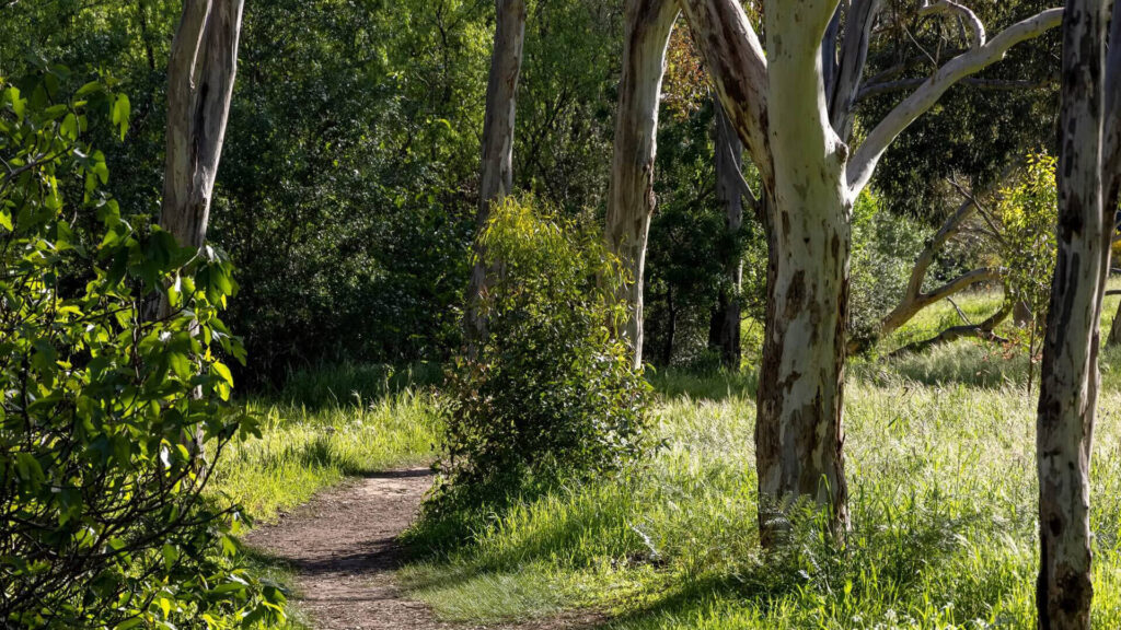 Inverleigh Walking Trails